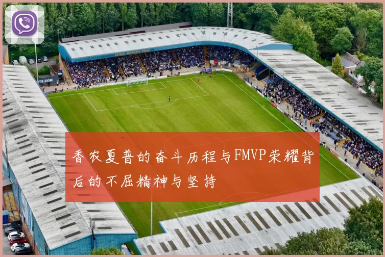 香农夏普的奋斗历程与FMVP荣耀背后的不屈精神与坚持