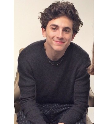 Voll Gewellte Dunkelbraune Synthetikperücken Für Männer